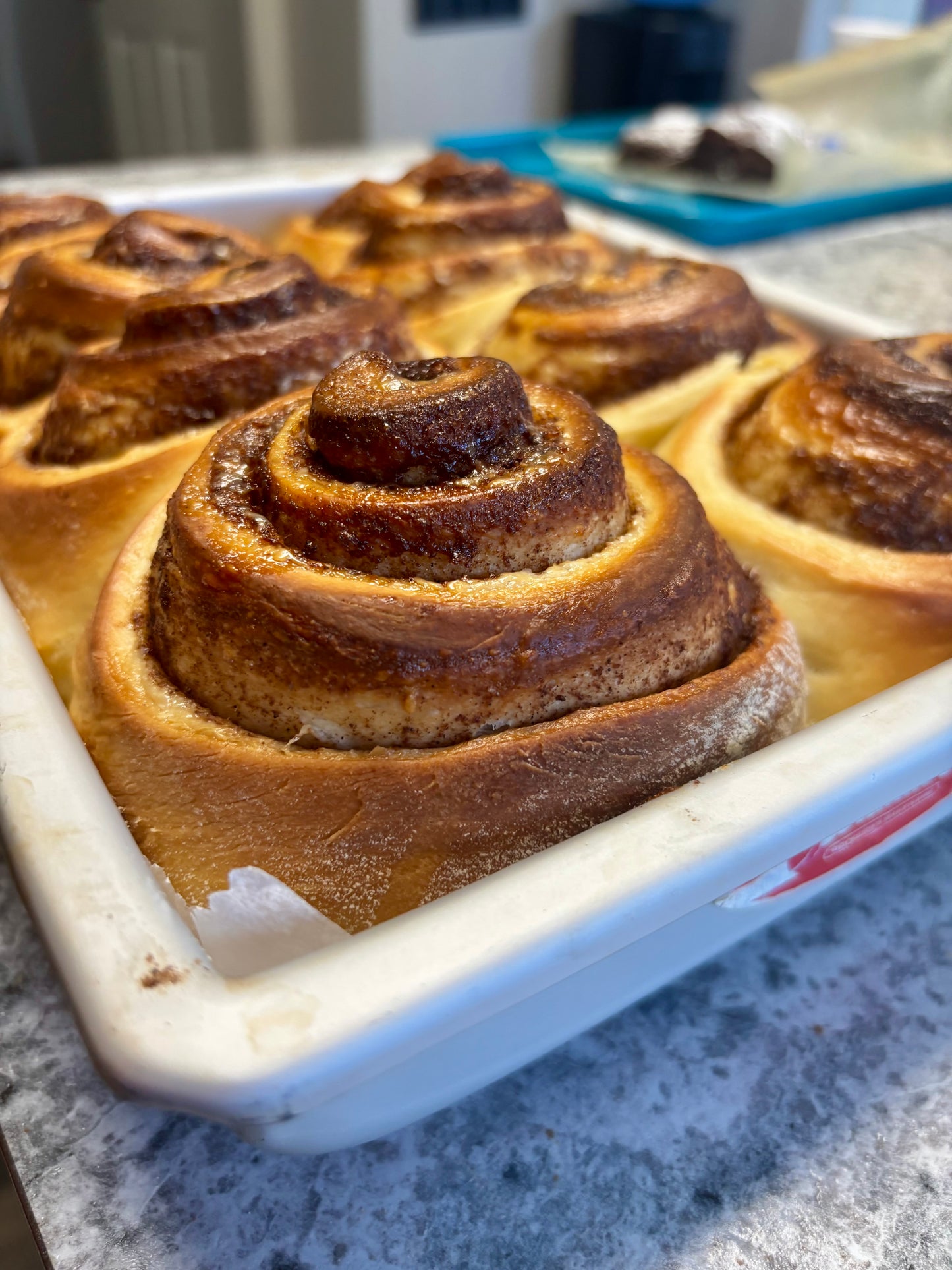 Yeast Rolls & Cinnamon Rolls