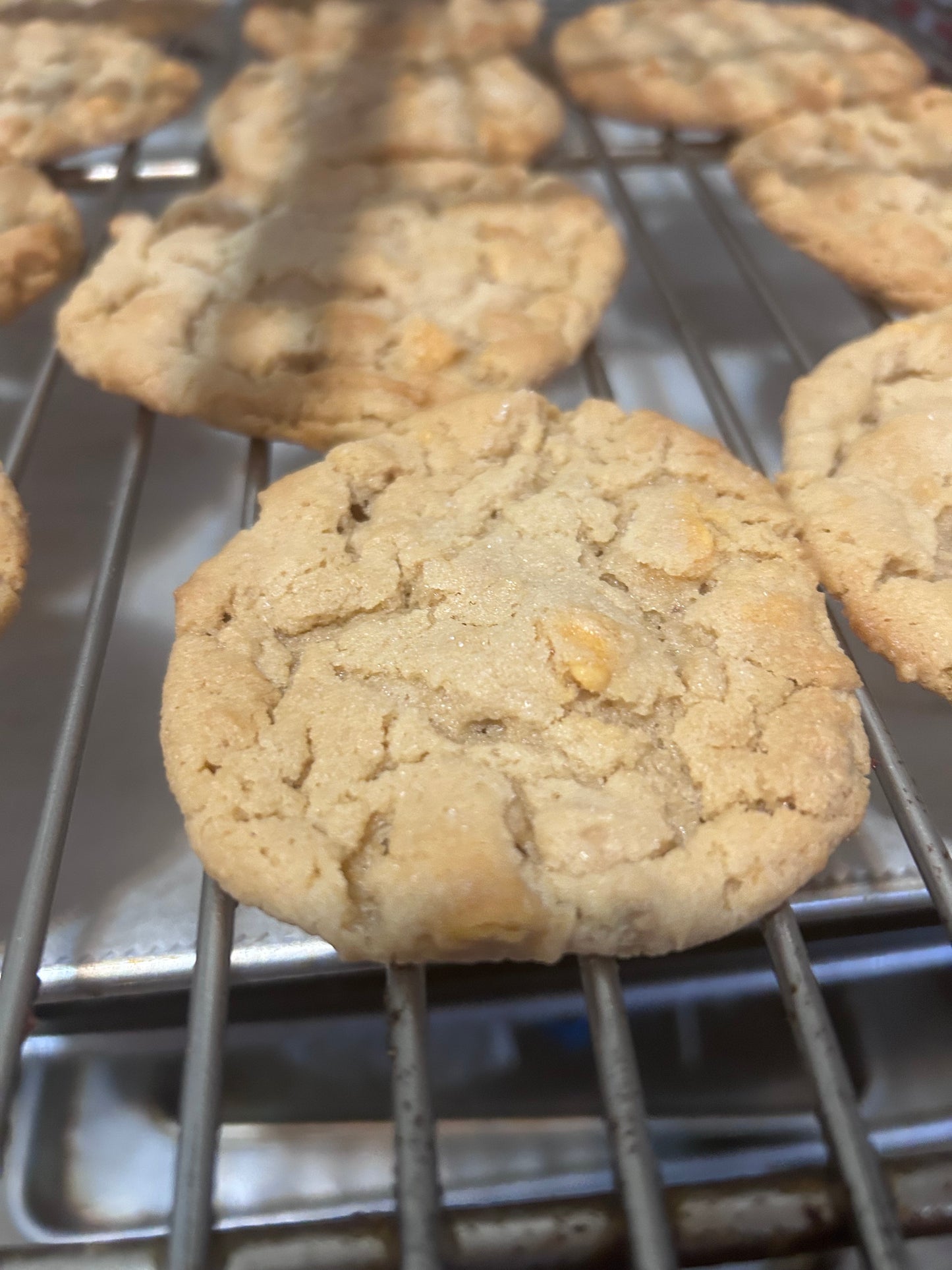 Thanksgiving Cookies